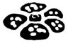 Jungle set symbol
